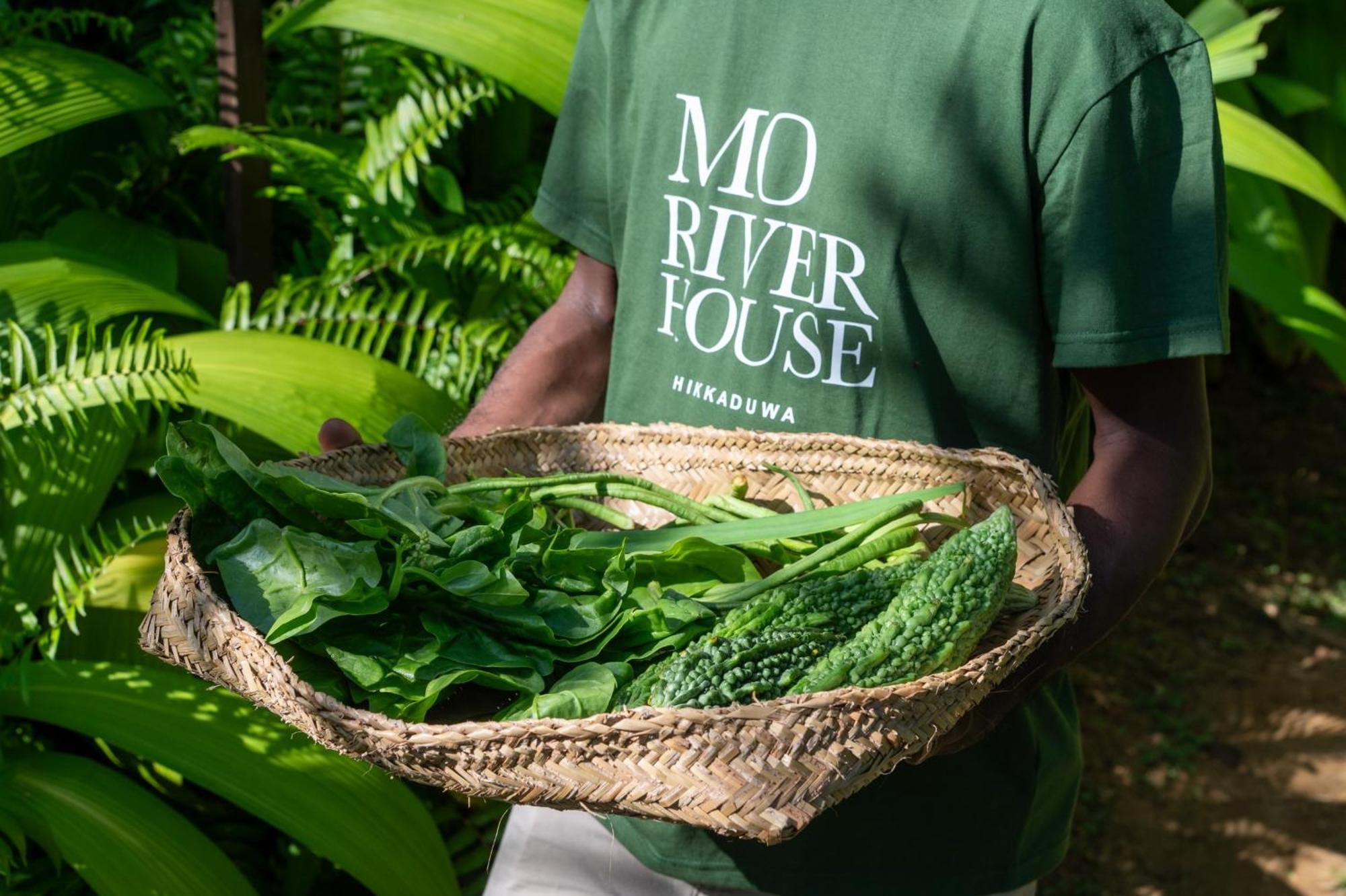 Mo River House Luxury Villa Hikkaduwa Exterior photo